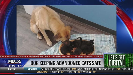 Let's Get Digital: Stories trending on November 25, 2019