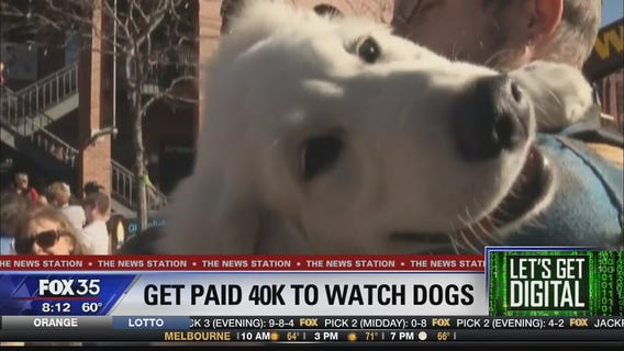 Let's Get Digital: Stories trending on November 26, 2019