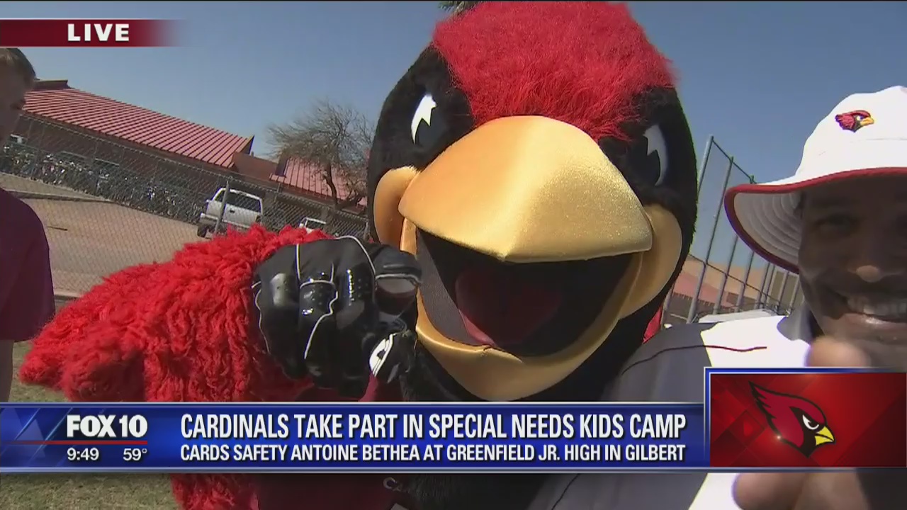 Cardinals host special needs kids camp in Gilbert