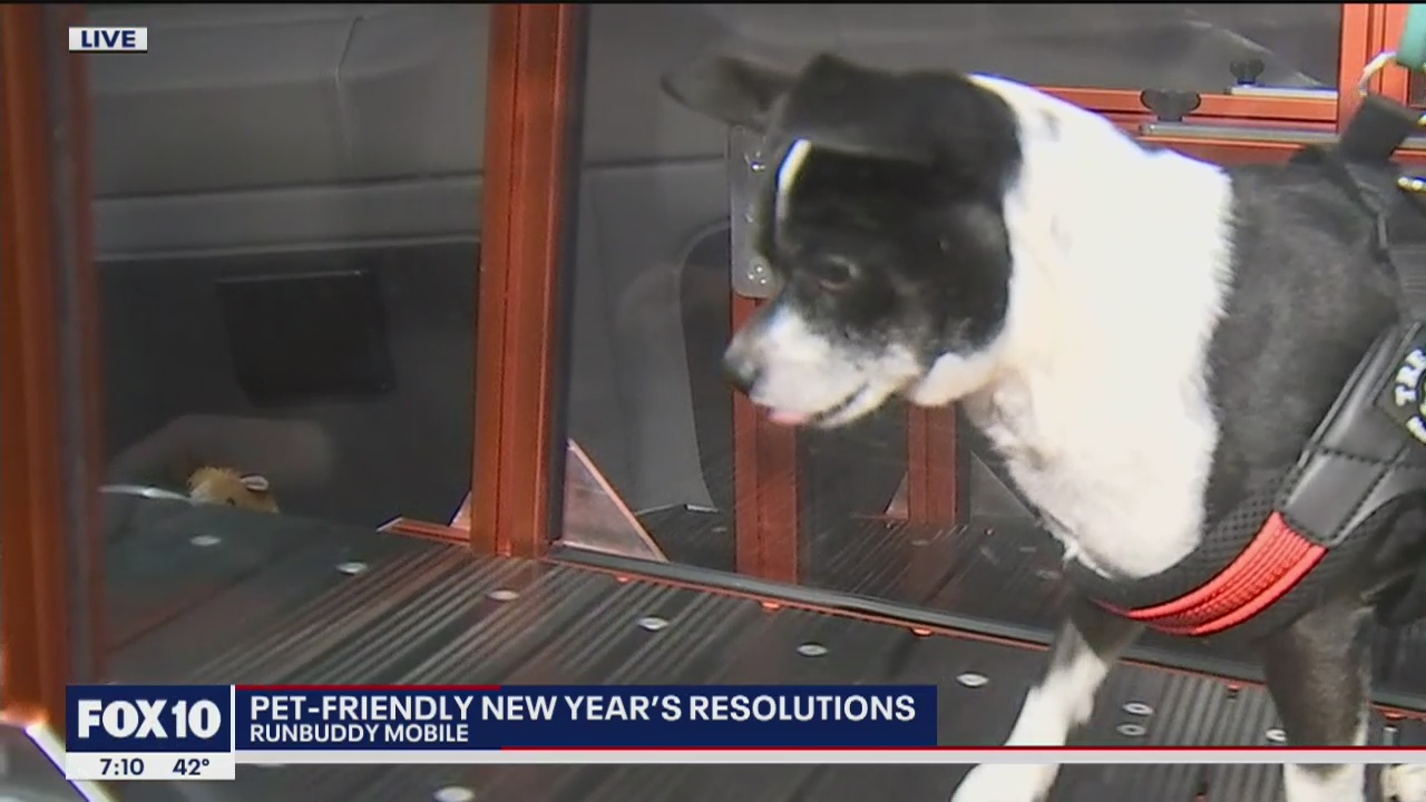 Keeping pets fit with RunBuddy Mobile