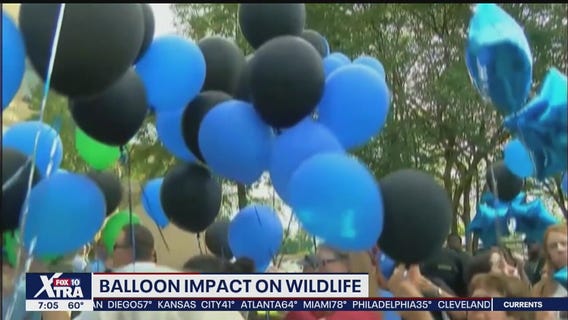 Valley Girl Scouts take aim at release of balloons in effort to save wildlife