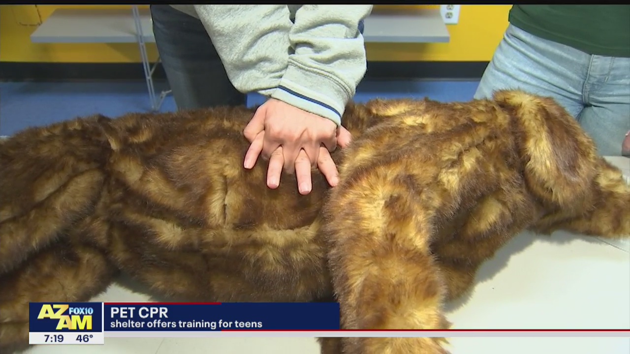 Valley animal shelter offering pet CPR training for teens