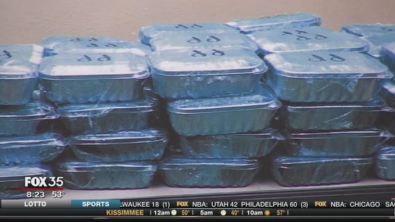 Polk County deputies make major drug bust