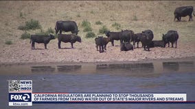 Thousands of California farmers face uncertain future as state weighs turning off water supply