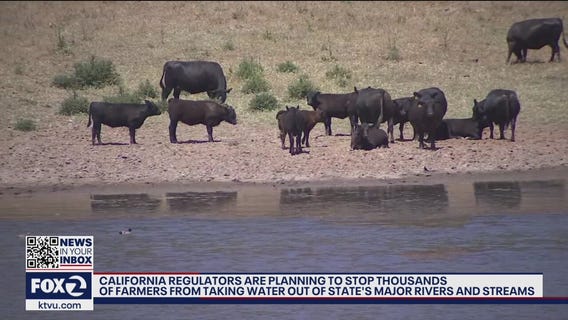 Thousands of California farmers face uncertain future as state weighs turning off water supply