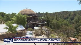 Zip Trip: Canyon