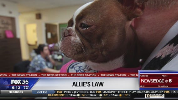 Allie's Law would mandate animal abuse reporting by veterinarians