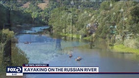Kayaking on the Russian River