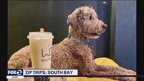 Woofs Bar is a perfect hangout spot for dog lovers and their pets