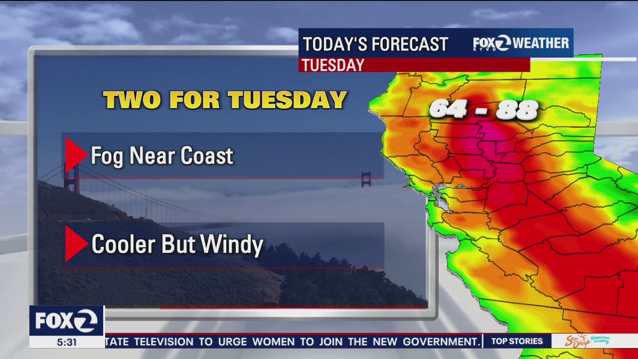 Fog near coast, cooler and windy