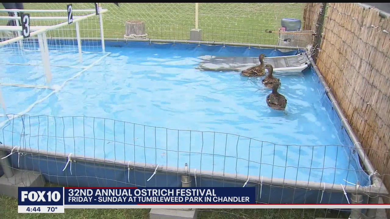 Olmost The Weekend - Ostrich Festival in the East Valley