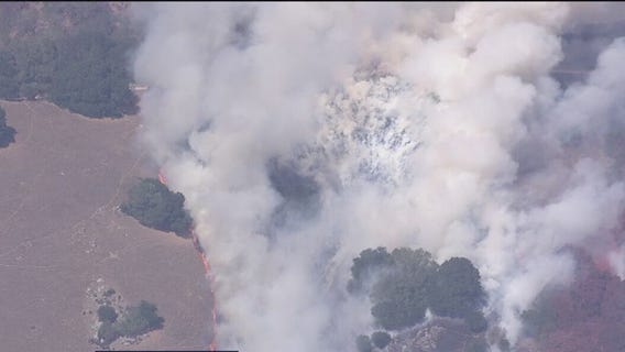 Brush fire in Lucas Valley mostly contained