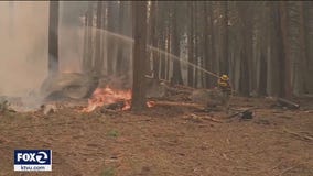 Favorable weather aids crews battling Caldor Fire as containment ticks up to 32%