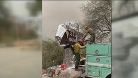 Sequoia National Park rees wrapped in aluminum