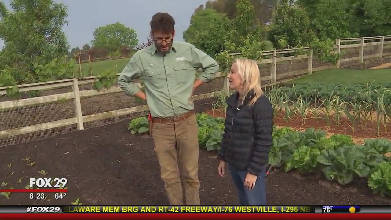 #MOMOLOGUE: Kid-friendly gardening tips