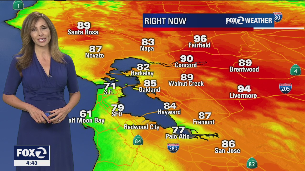 Fog along the coast as cooling trend kicks in