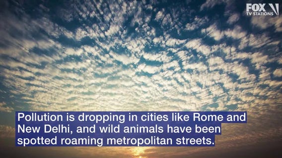 Positive Environmental Impacts from COVID-19