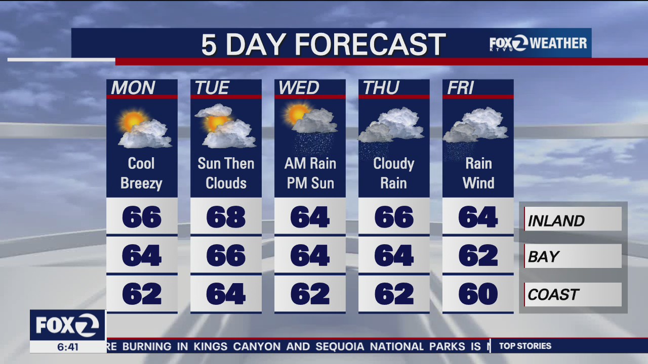 Rainy forecast ahead