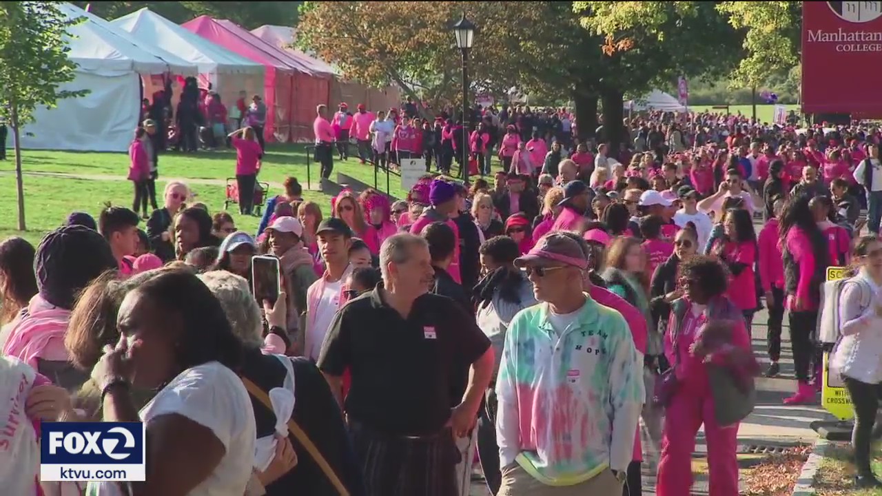 Giving Day: Making strides against breast cancer