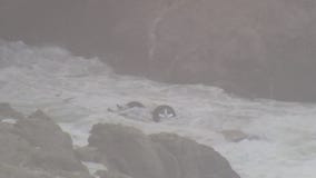 Vehicle plunges over cliff near Devil's Slide along the San Mateo County coast