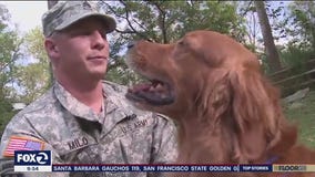 Giving Day: Warrior Canine Connection