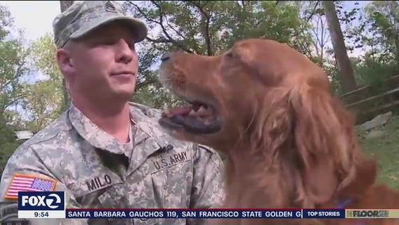 Giving Day: Warrior Canine Connection