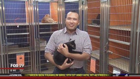 Furever Home with Thomas Drayton