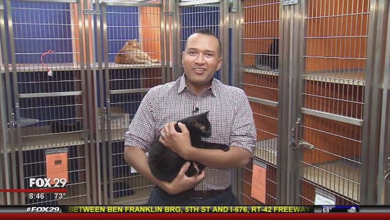 Furever Home with Thomas Drayton