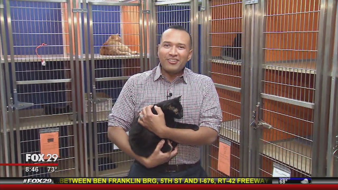 Furever Home with Thomas Drayton