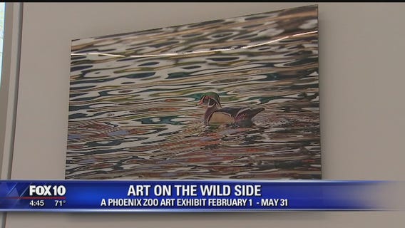 Olmost The Weekend: Art exhibit at Phoenix Zoo aims to raise environmental awareness