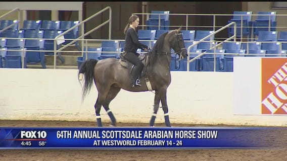 Olmost The Weekend: Arabian horse show gets underway in Scottsdale