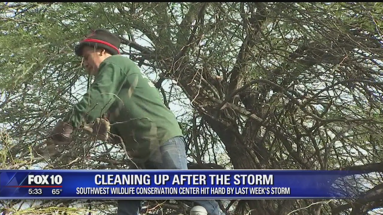 Cleanup begins at Southwest Wildlife Conservation Center after last week's winter storm caused damages