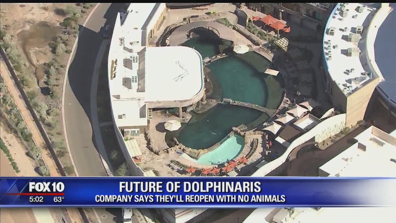 Dolphins not returning to former Dolphinaris facility