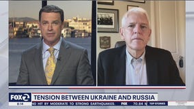 Support grows in Ukraine to join NATO, says former U.S. Ambassador