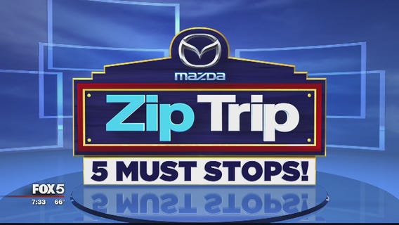 Zip Trip: Kensington | 5 Must Stops