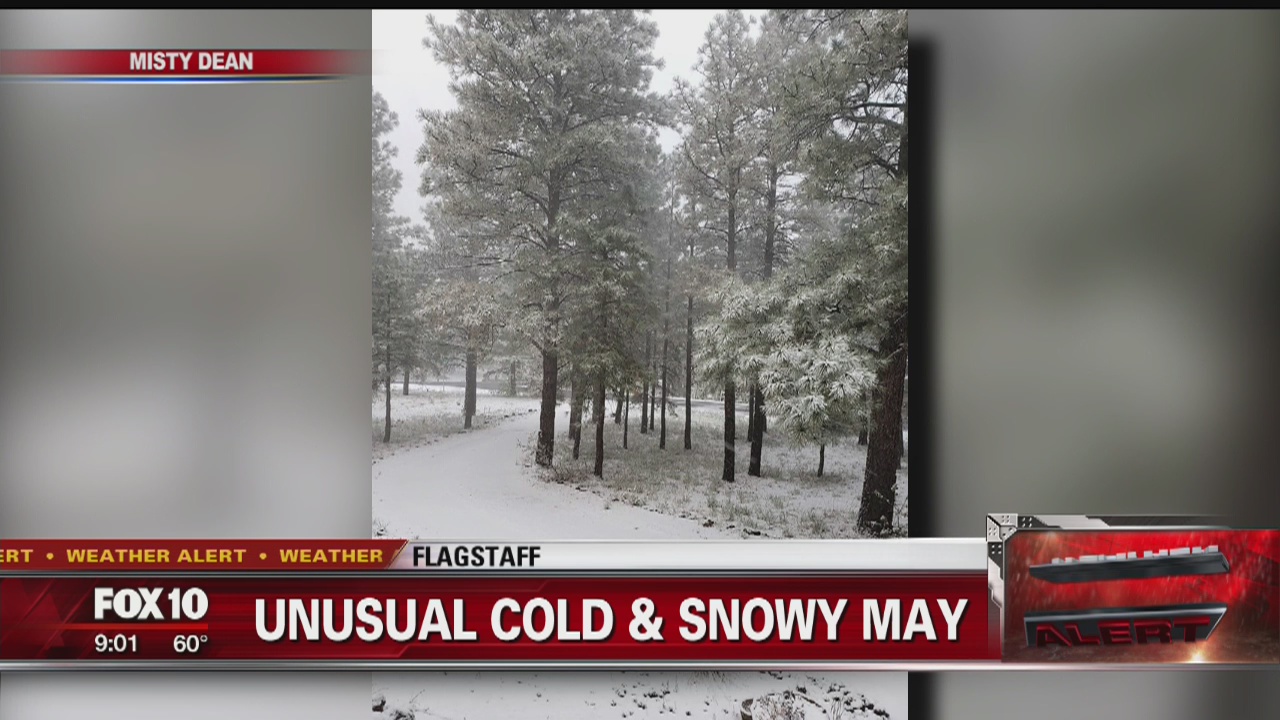 Snowy weather in northern Arizona