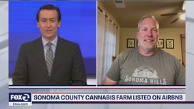 Airbnb Partners with Petaluma Cannabis Farm