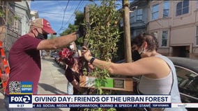 Friends of the Urban Forest