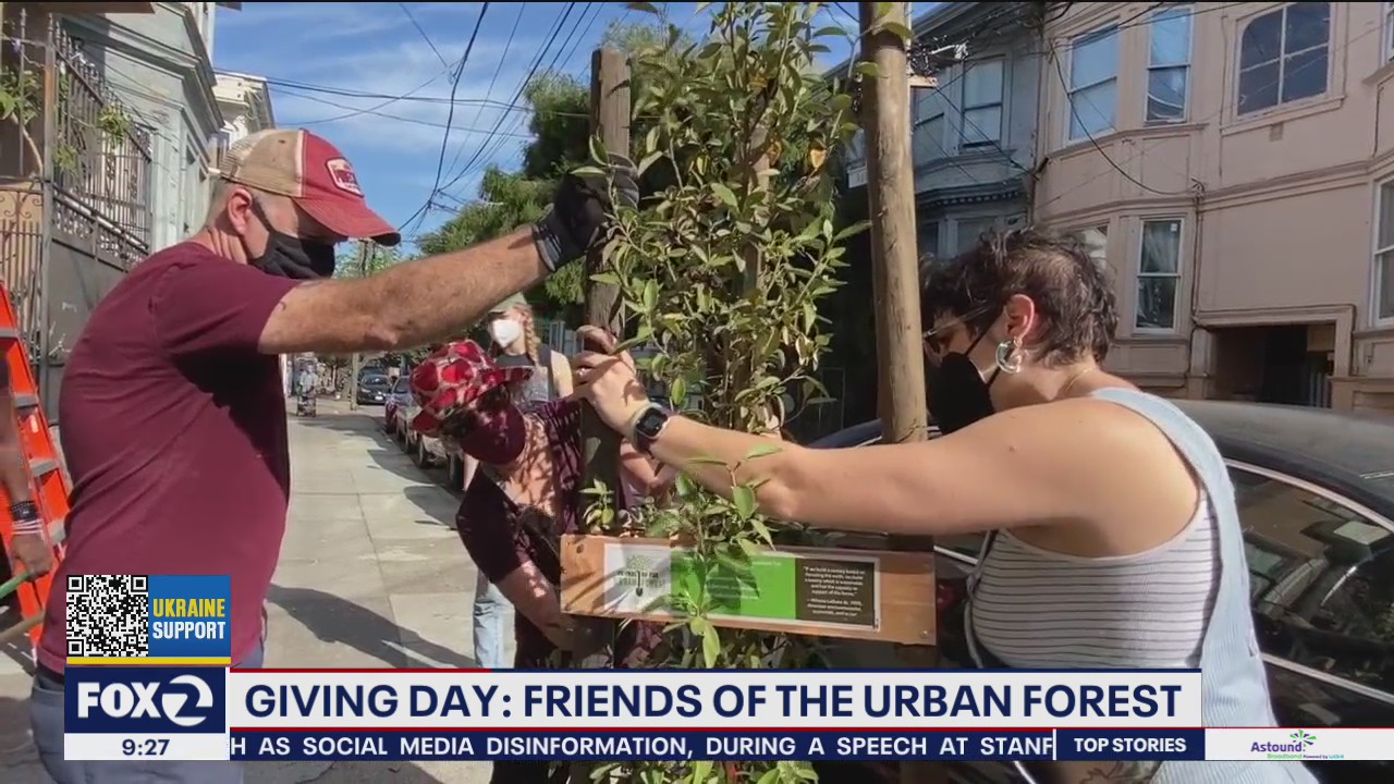Friends of the Urban Forest