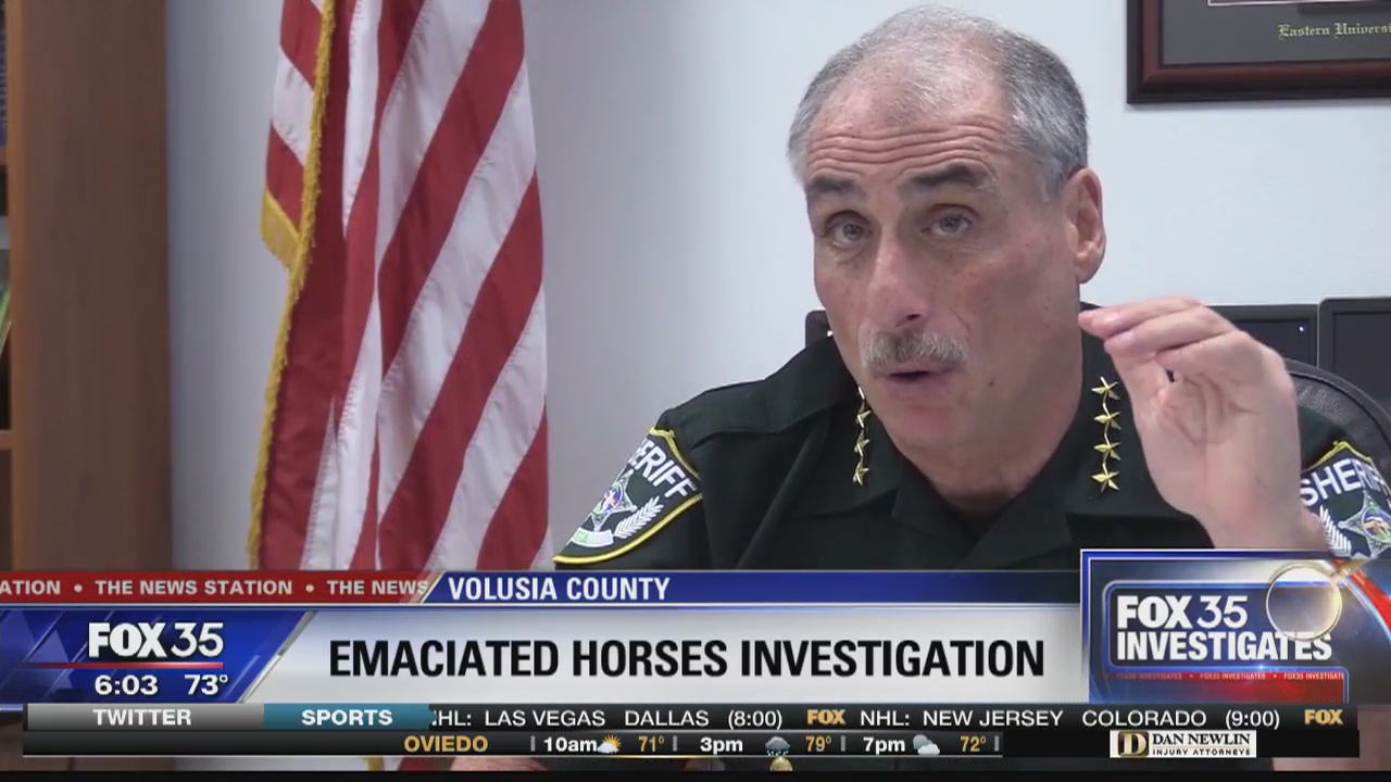 FOX 35 Investigates: Volusia County Sheriff's Office investigating why rescuing emaciated Edgewater horses took so long