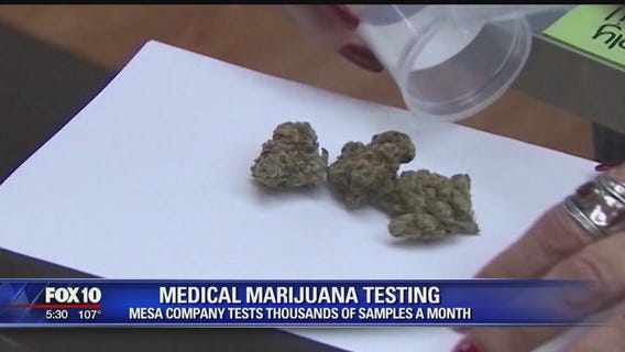 Mesa lab tests thousands of medical pot samples a month