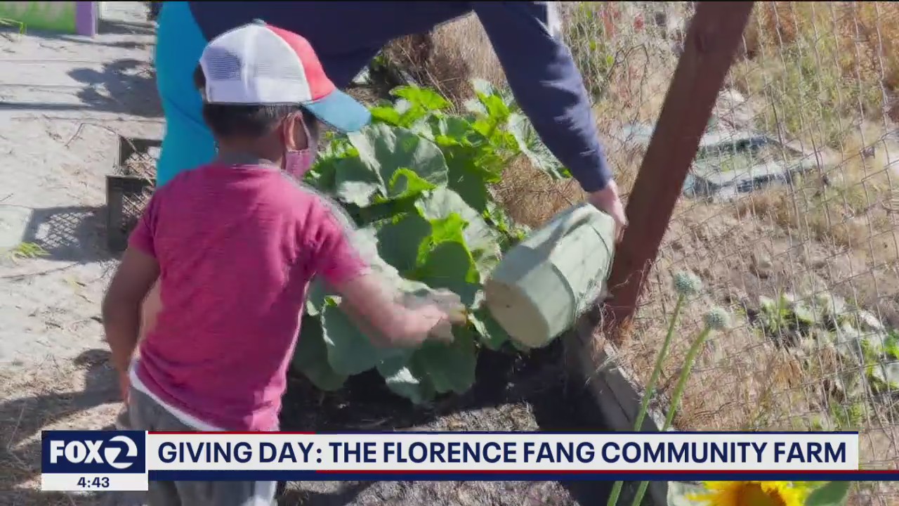 Florence Fang Community Farm