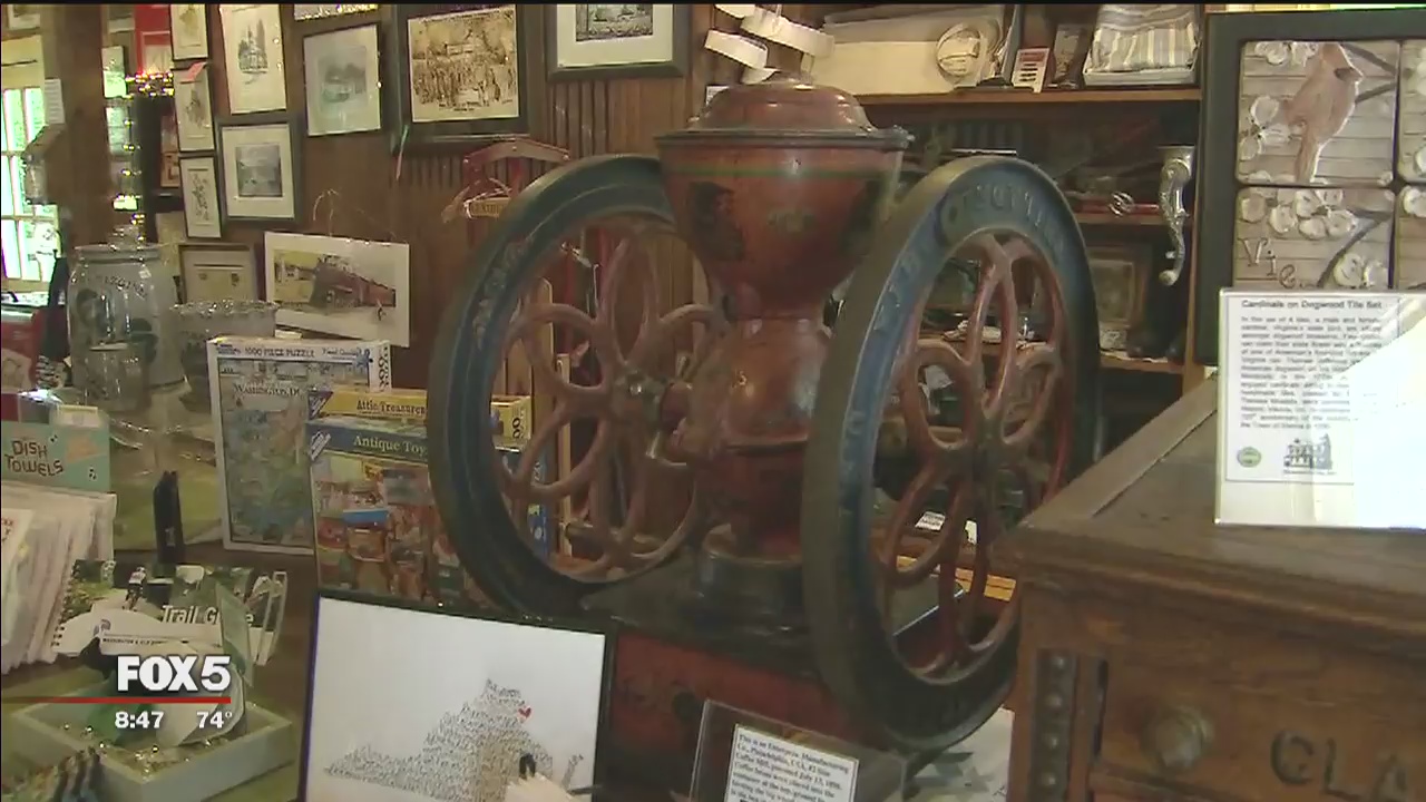 Zip Trip: Vienna | Freeman Store