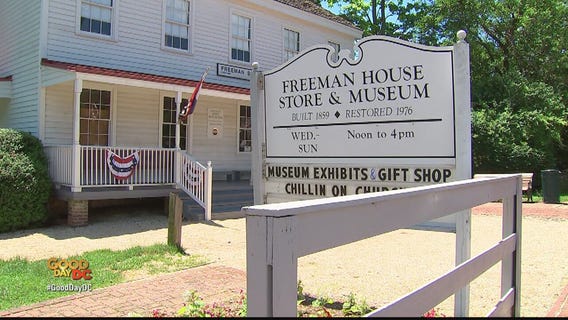 Zip Trip: Vienna | 5 Must Stops