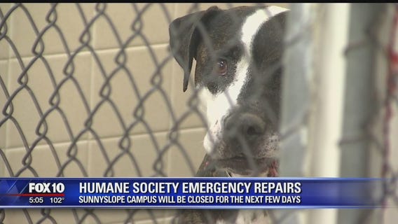 Arizona Humane Society temporarily closing Sunnyslope Campus for emergency repairs