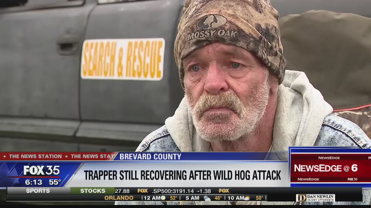 Trapper still recovering after wild hog attack