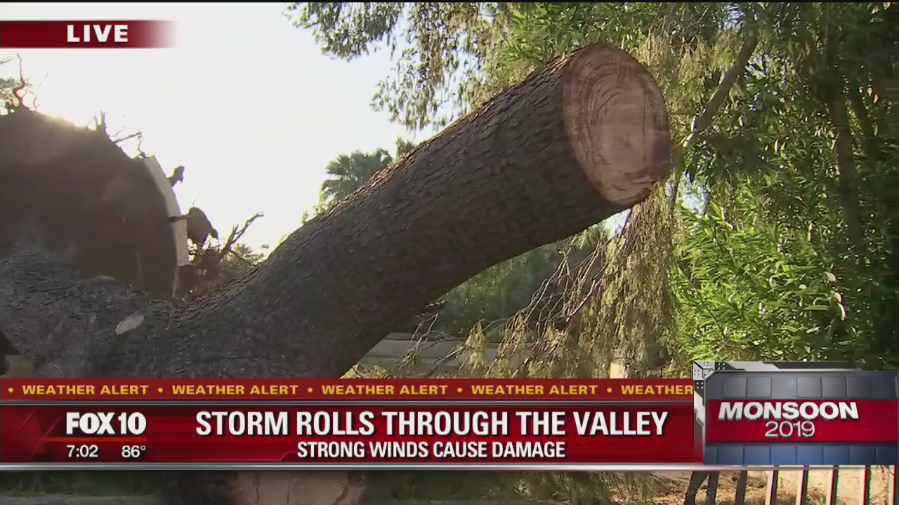 Storm damage across the Valley following weekend Monsoon