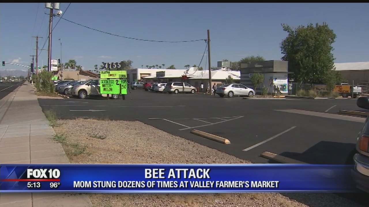 Mom stung dozens of times at farmer's market