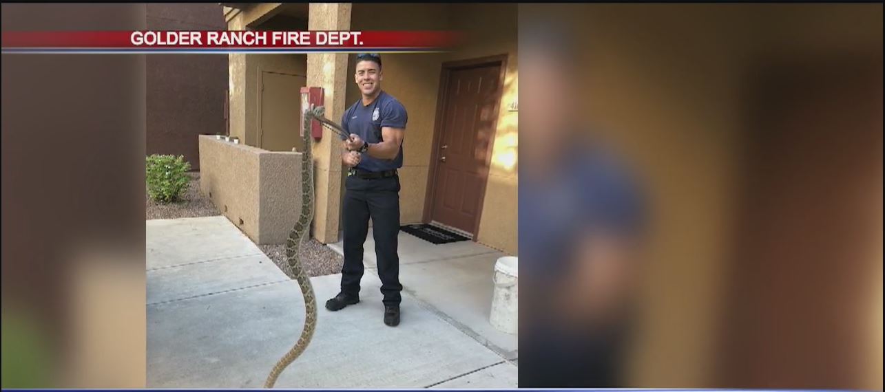 Slithering 6-ft long visitor found at home near Marana