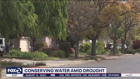 San Francisco consumers are conserving more this year